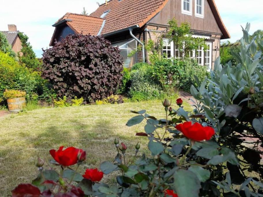 Ferienhaus Gartower See Ngoại thất bức ảnh