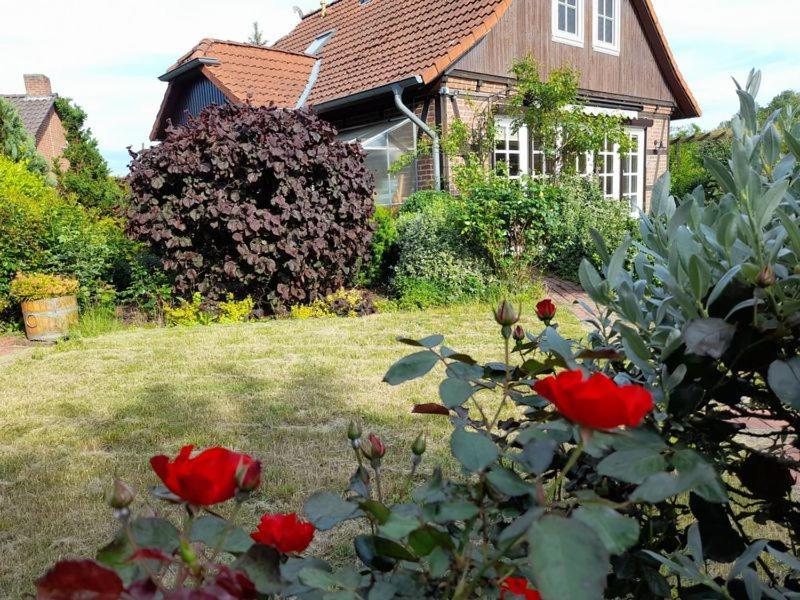 Ferienhaus Gartower See Ngoại thất bức ảnh