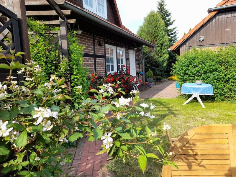 Ferienhaus Gartower See Ngoại thất bức ảnh